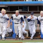 Bradley Central vs Farragut TSSAA baseball 2019 6 (Danny Parker)