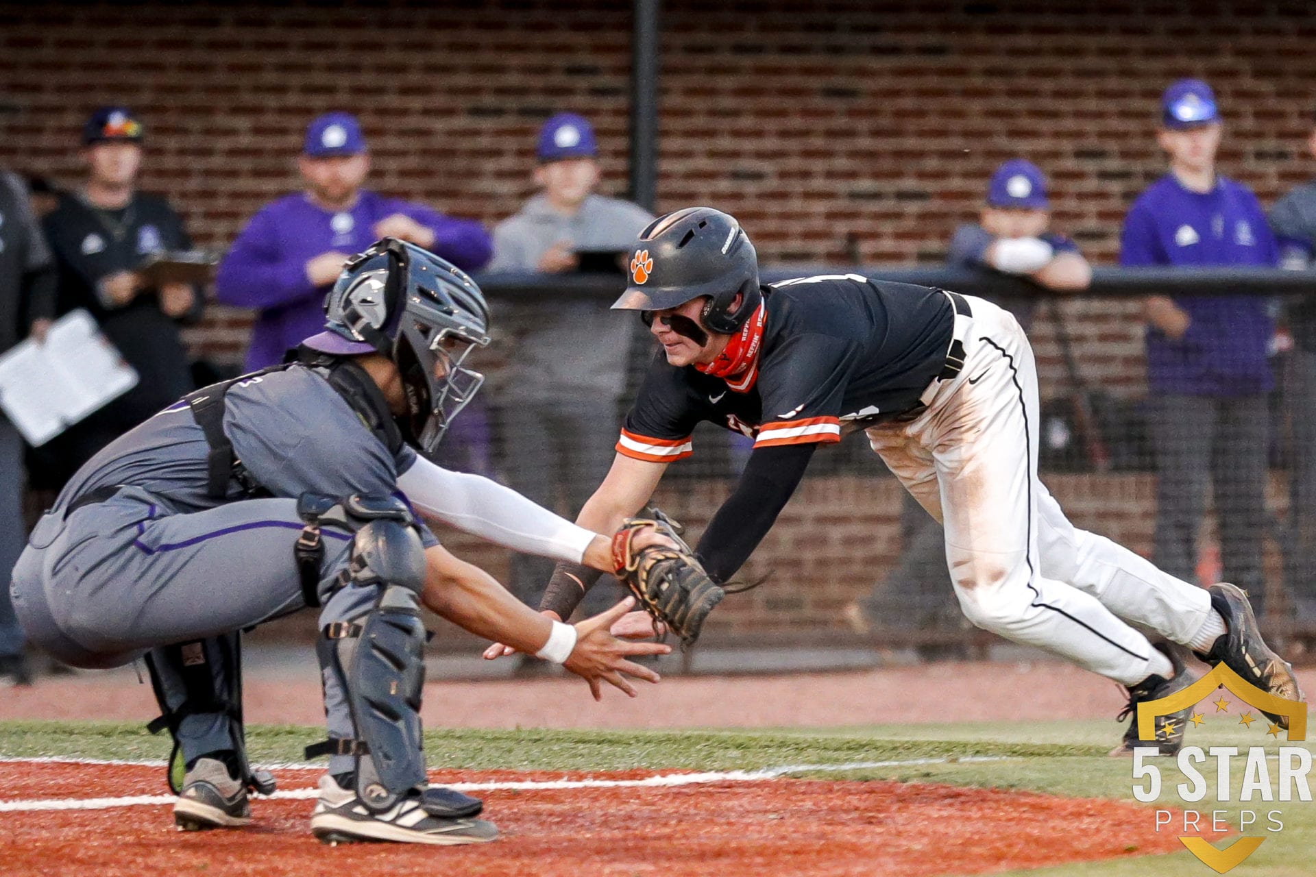 Powell High School Baseball