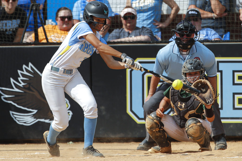 Greeneville Gibbs Softball