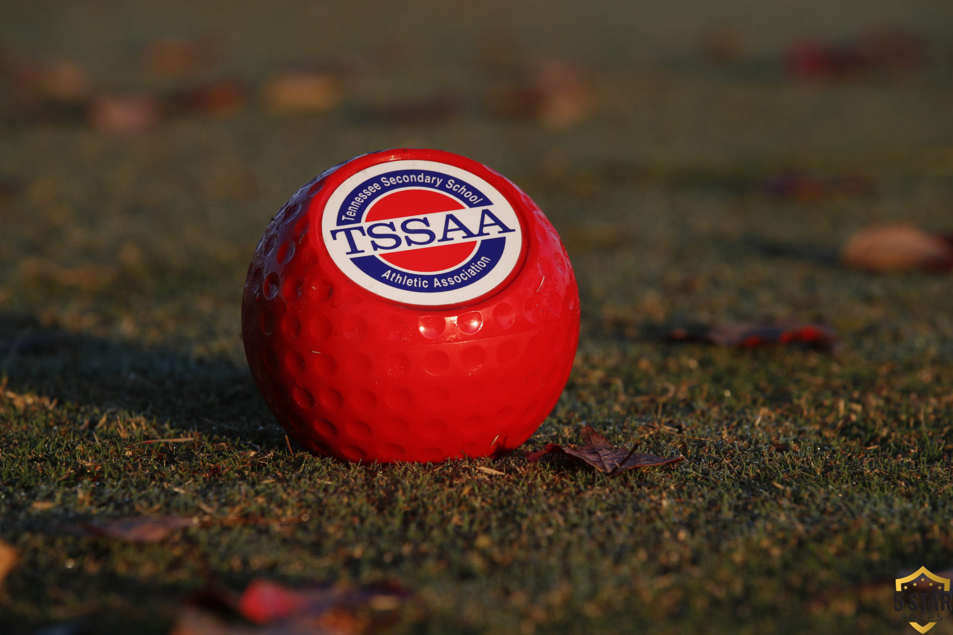 STATE GOLF TRACKER Final Day Recap for 2022 Division IIAA and Class