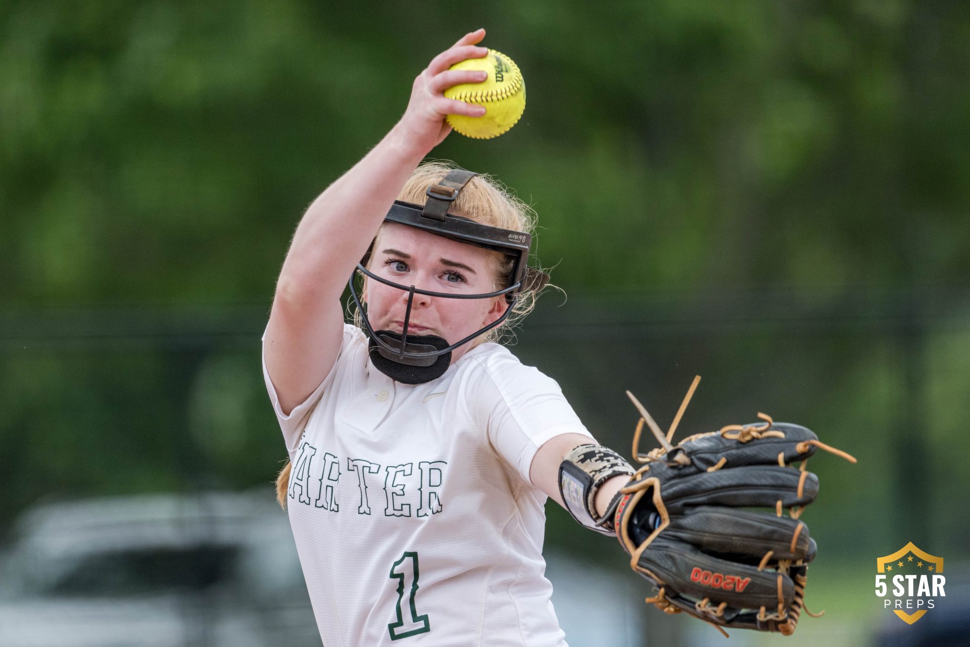 Carter Softball, Gibbs Softball both off to 2-0 Starts in 2024 Class 3A ...